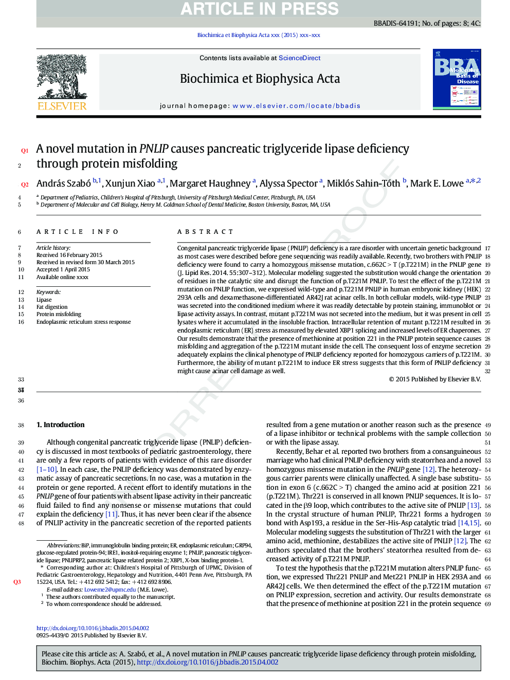 A novel mutation in PNLIP causes pancreatic triglyceride lipase deficiency through protein misfolding