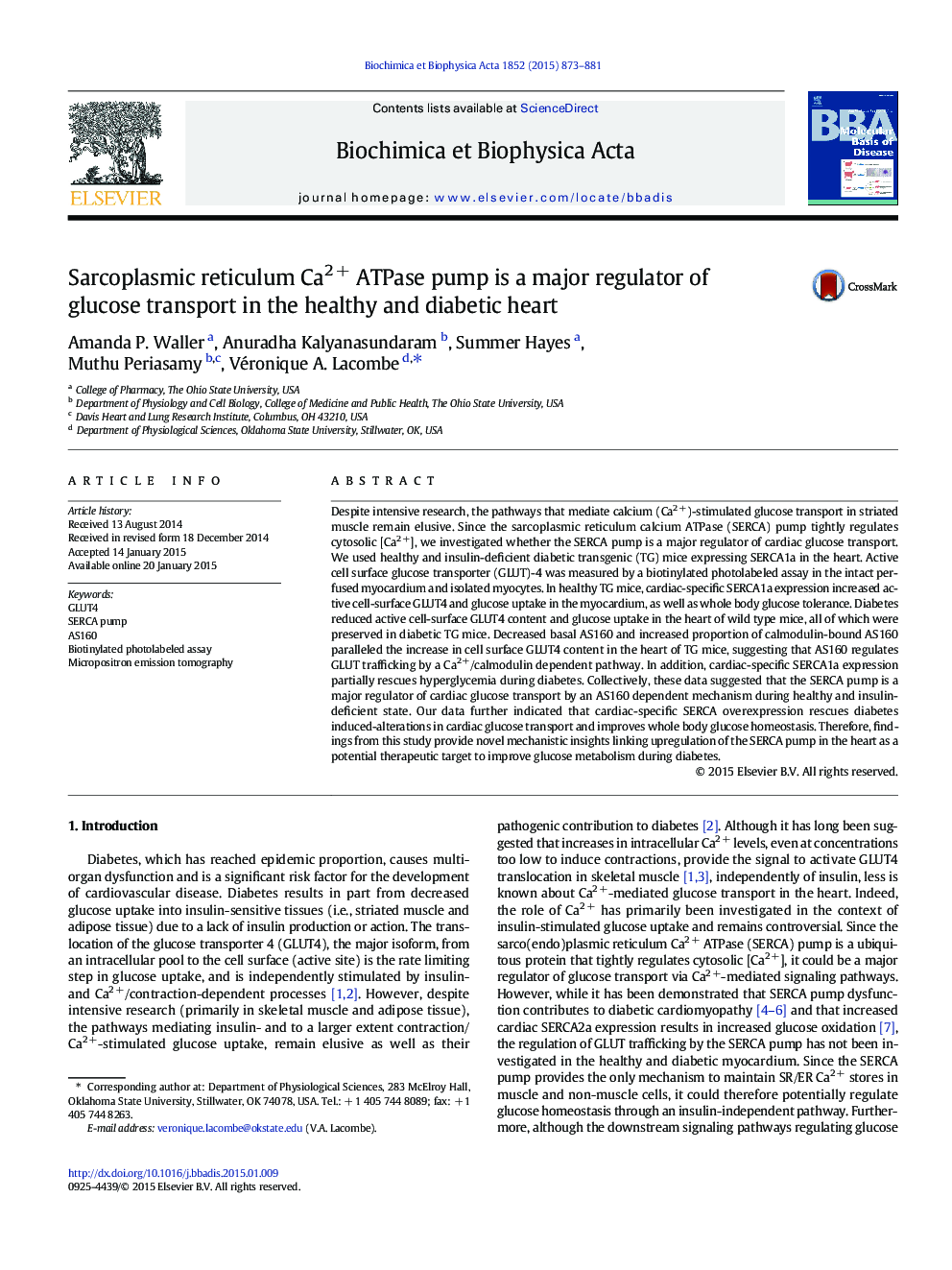 Sarcoplasmic reticulum Ca2Â + ATPase pump is a major regulator of glucose transport in the healthy and diabetic heart