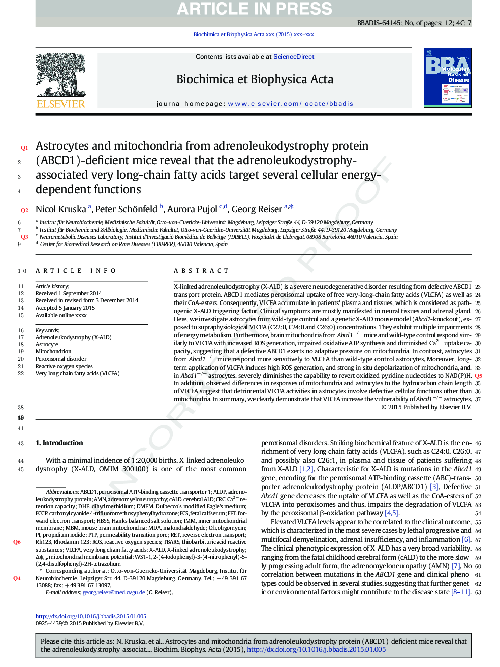 Astrocytes and mitochondria from adrenoleukodystrophy protein (ABCD1)-deficient mice reveal that the adrenoleukodystrophy-associated very long-chain fatty acids target several cellular energy-dependent functions