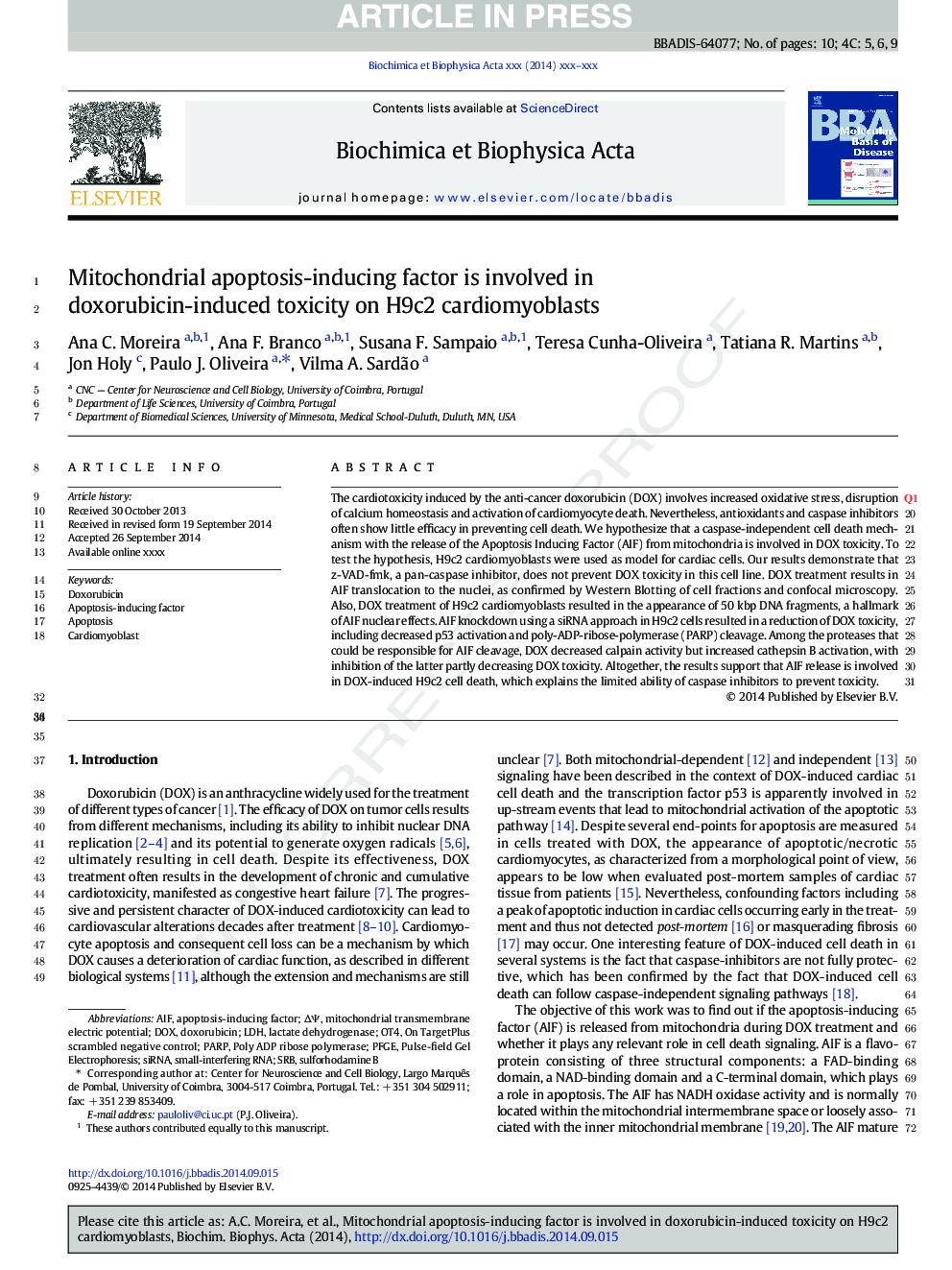 Mitochondrial apoptosis-inducing factor is involved in doxorubicin-induced toxicity on H9c2 cardiomyoblasts