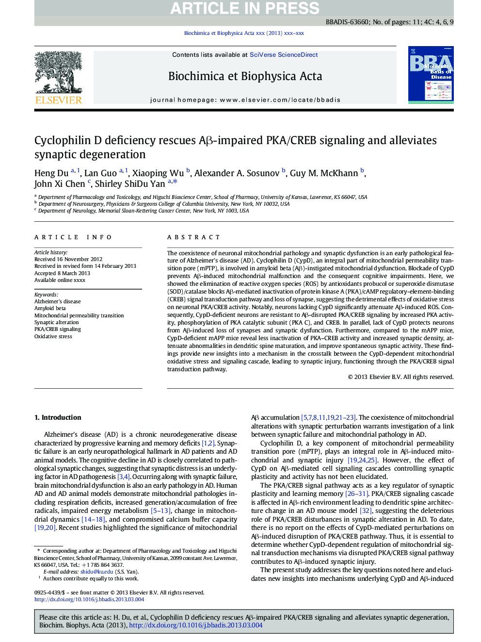 Cyclophilin D deficiency rescues AÎ²-impaired PKA/CREB signaling and alleviates synaptic degeneration