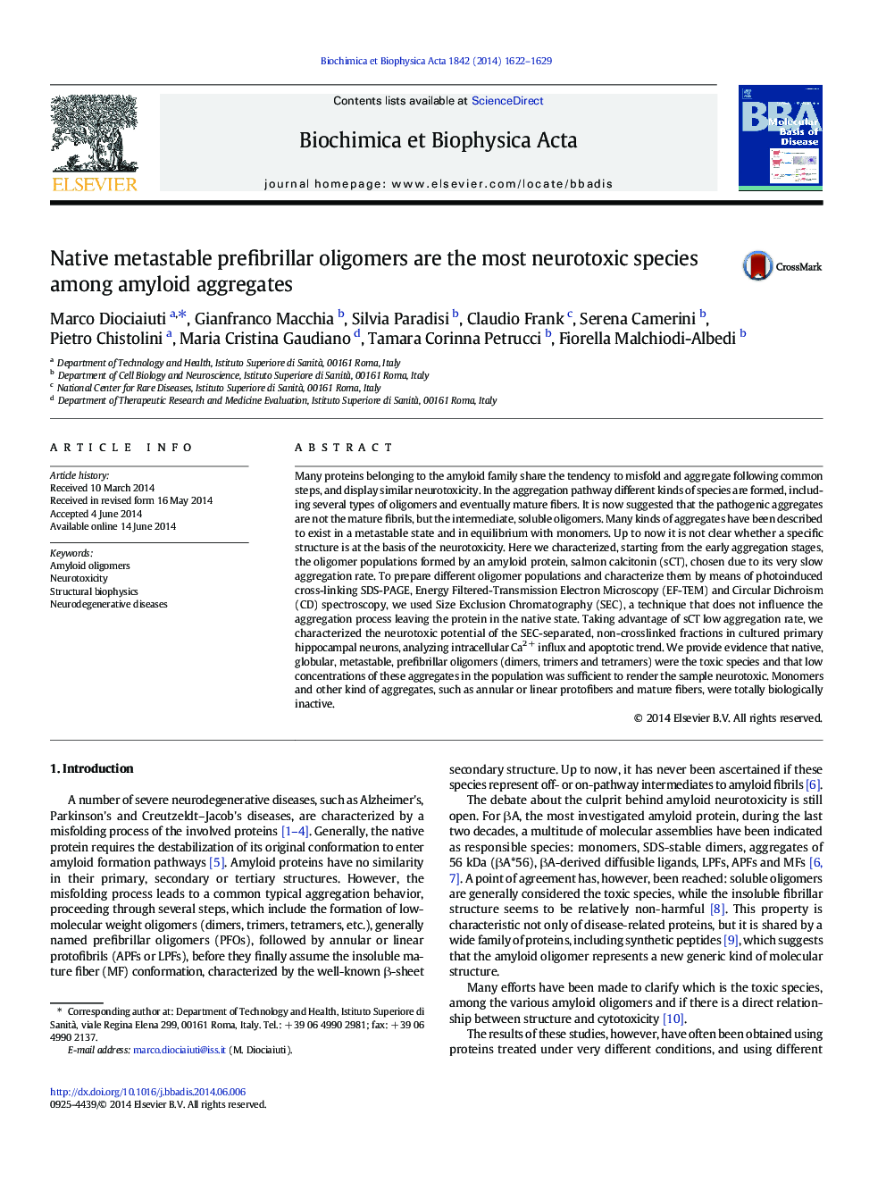 Native metastable prefibrillar oligomers are the most neurotoxic species among amyloid aggregates