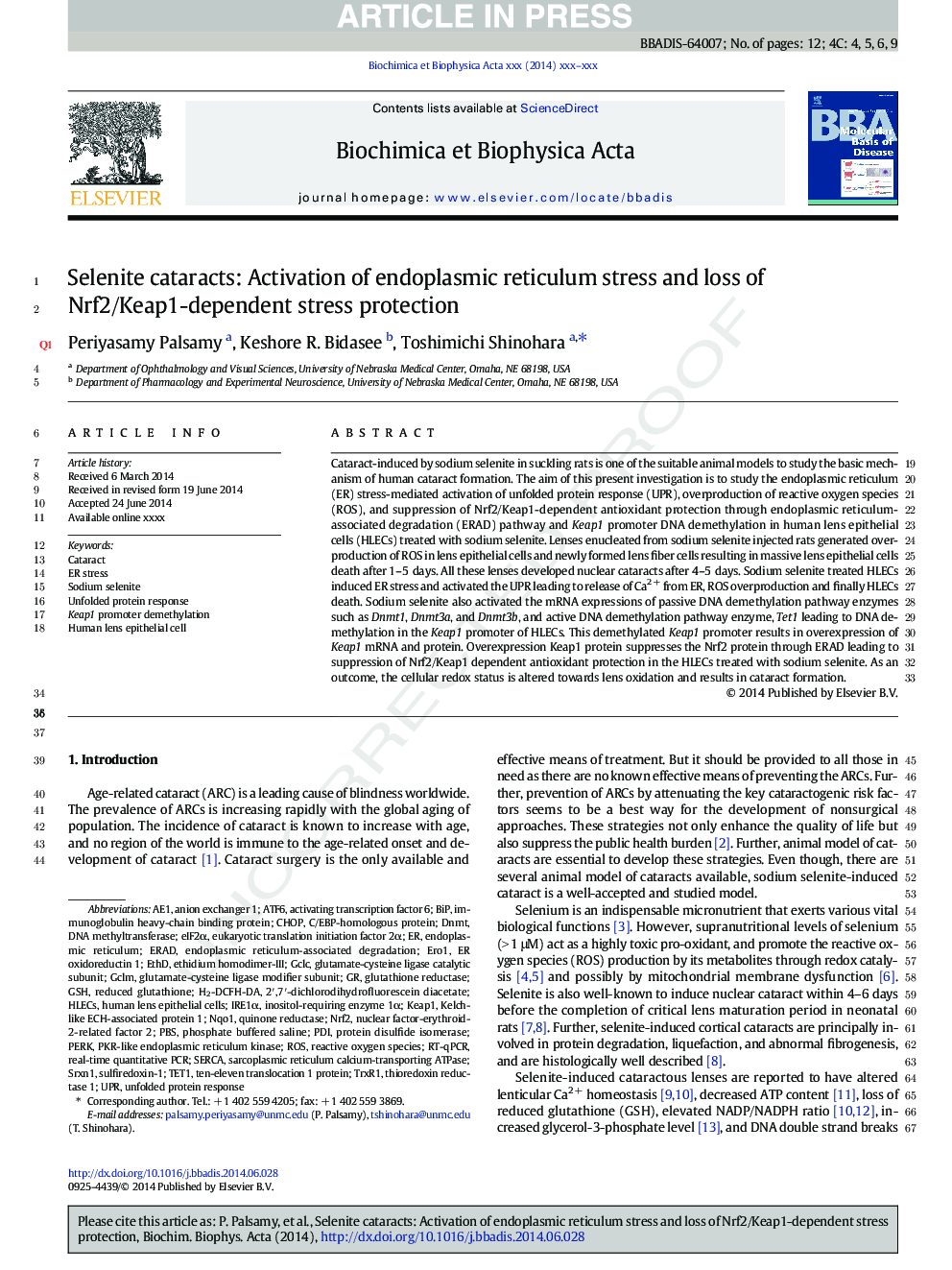 Selenite cataracts: Activation of endoplasmic reticulum stress and loss of Nrf2/Keap1-dependent stress protection