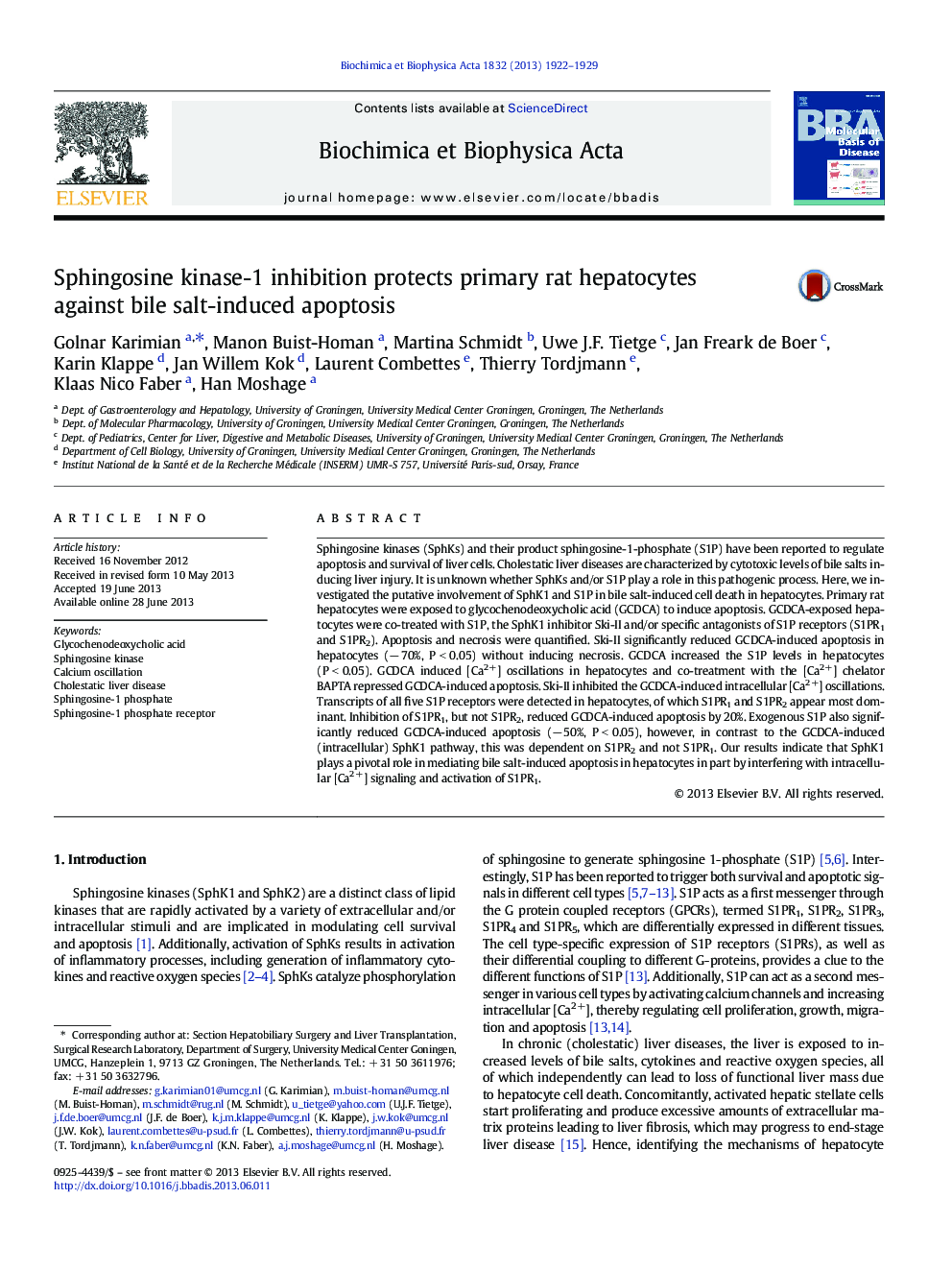 Sphingosine kinase-1 inhibition protects primary rat hepatocytes against bile salt-induced apoptosis