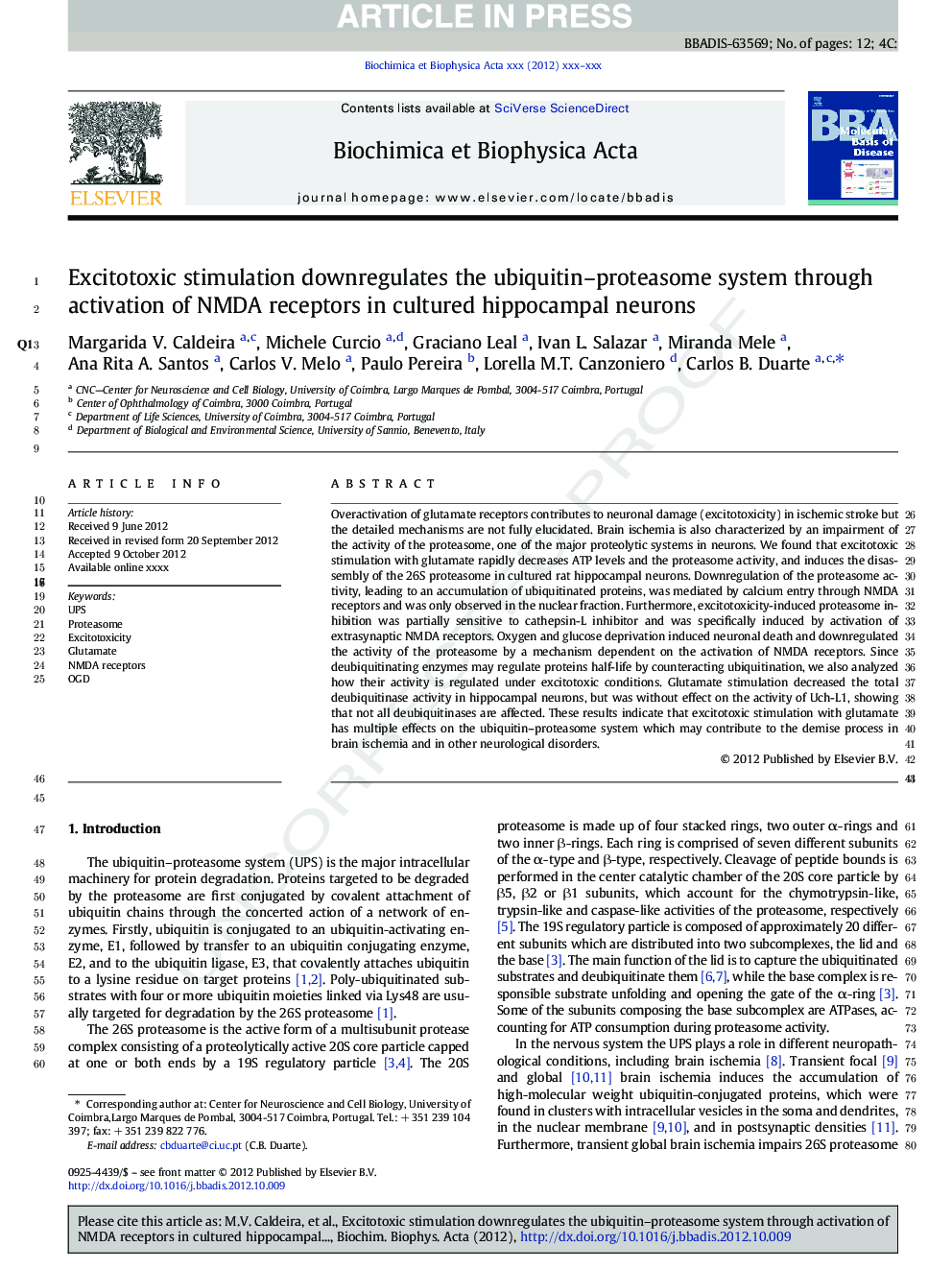 Excitotoxic stimulation downregulates the ubiquitin-proteasome system through activation of NMDA receptors in cultured hippocampal neurons