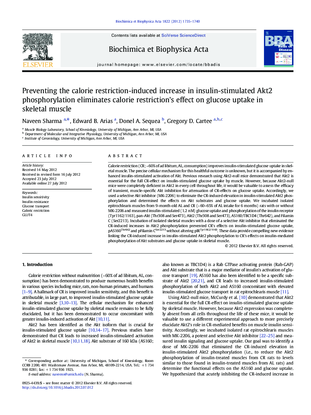 Preventing the calorie restriction-induced increase in insulin-stimulated Akt2 phosphorylation eliminates calorie restriction's effect on glucose uptake in skeletal muscle