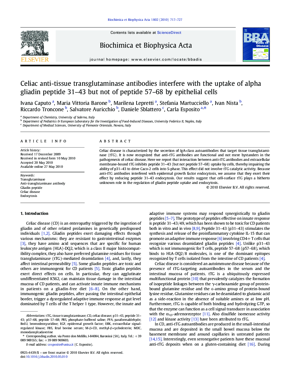 Celiac anti-tissue transglutaminase antibodies interfere with the uptake of alpha gliadin peptide 31-43 but not of peptide 57-68 by epithelial cells