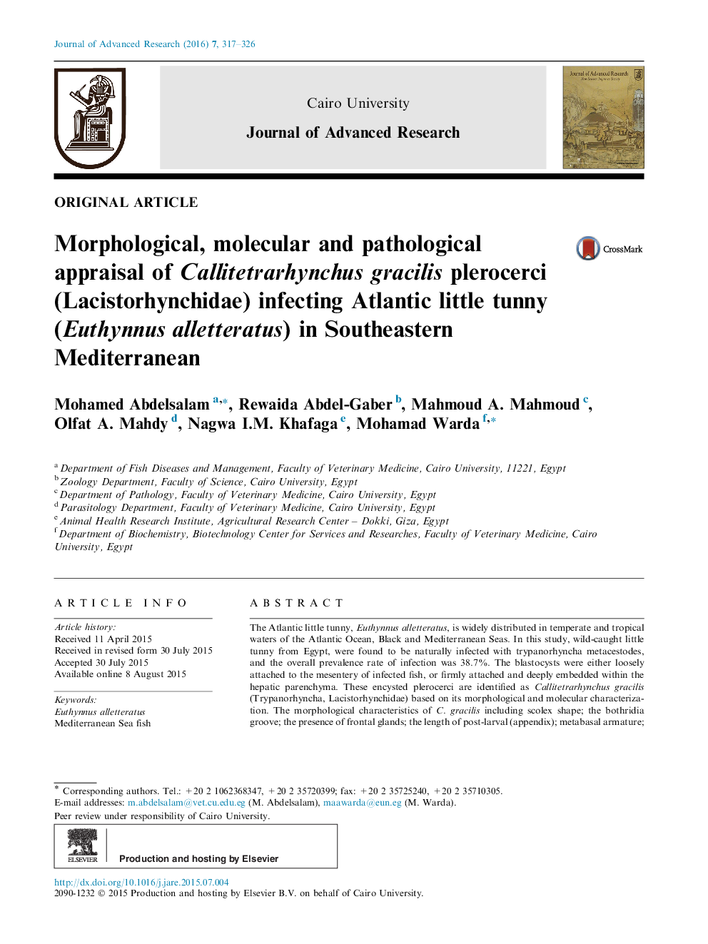 Morphological, molecular and pathological appraisal of Callitetrarhynchus gracilis plerocerci (Lacistorhynchidae) infecting Atlantic little tunny (Euthynnus alletteratus) in Southeastern Mediterranean 