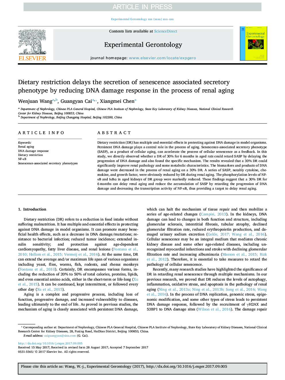 Dietary restriction delays the secretion of senescence associated secretory phenotype by reducing DNA damage response in the process of renal aging