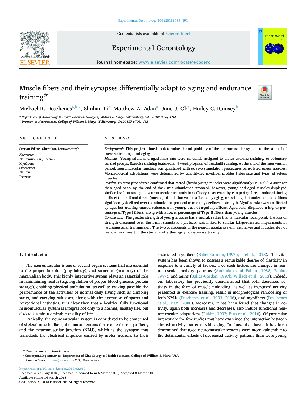 Muscle fibers and their synapses differentially adapt to aging and endurance training