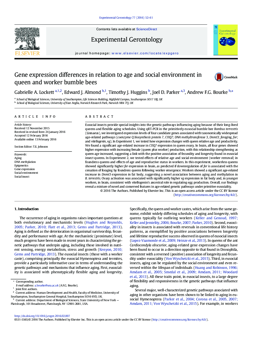 Gene expression differences in relation to age and social environment in queen and worker bumble bees