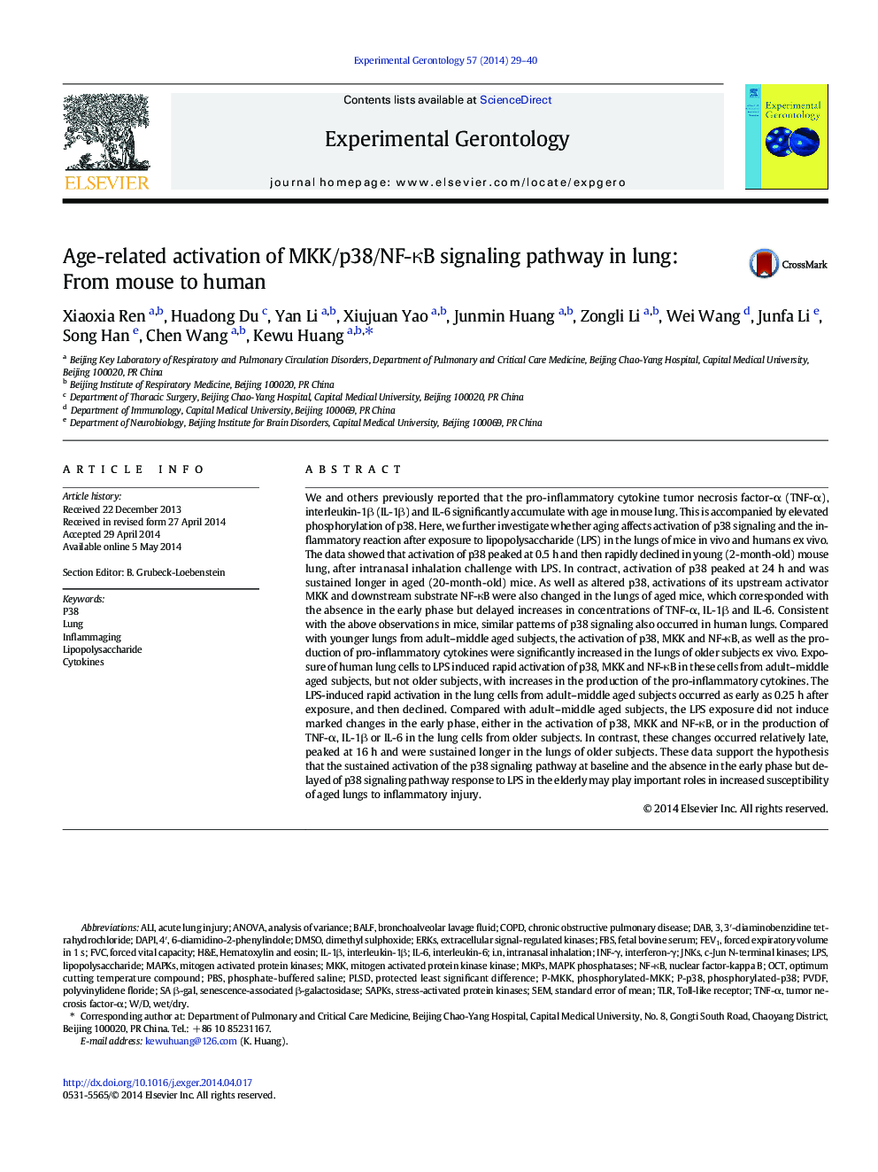 Age-related activation of MKK/p38/NF-ÎºB signaling pathway in lung: From mouse to human