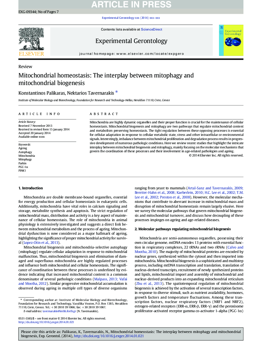 هوموستاز میتوکندری: اثر متقابل بین میتوفاژی و بیوژنز میتوکندری 