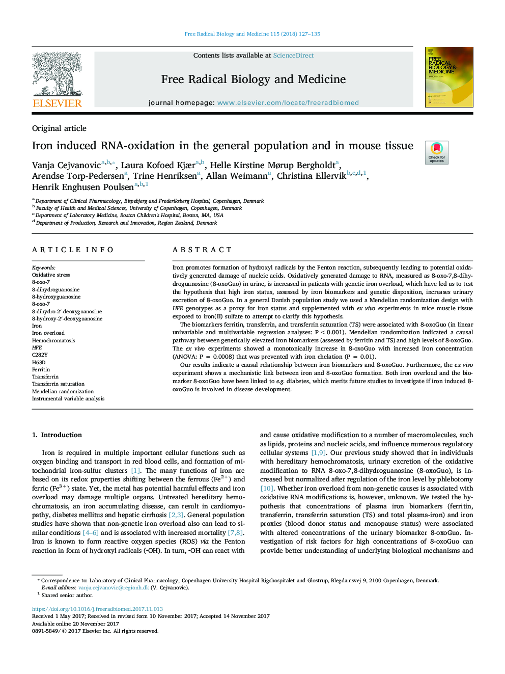 Iron induced RNA-oxidation in the general population and in mouse tissue