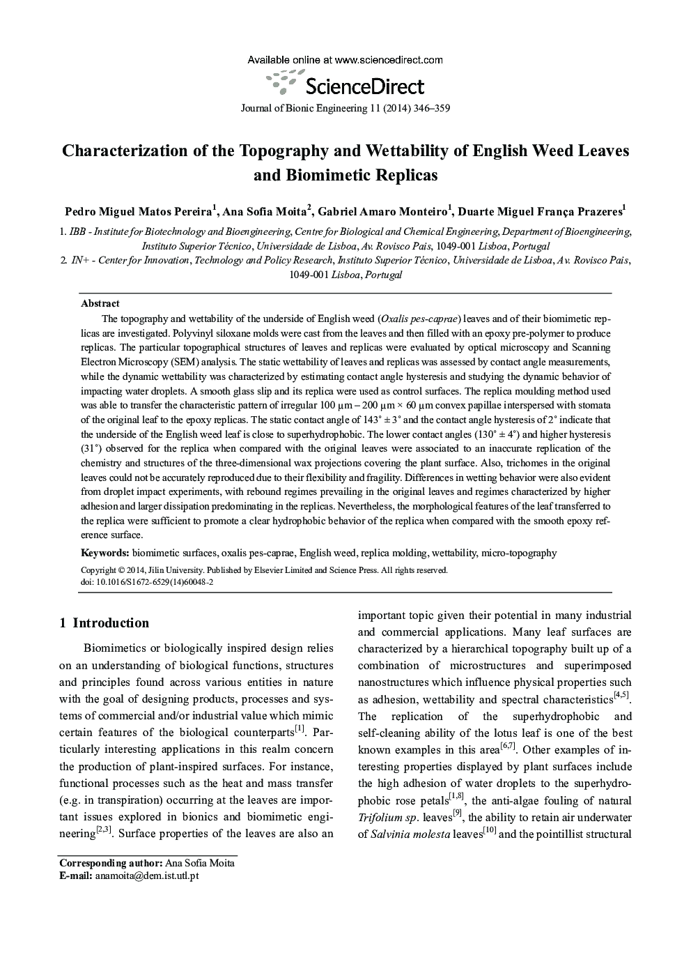 Characterization of the Topography and Wettability of English Weed Leaves and Biomimetic Replicas