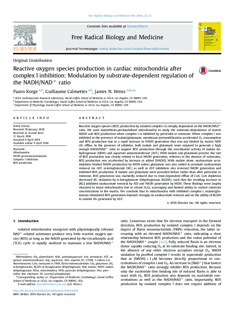 Reactive oxygen species production in cardiac mitochondria after complex I inhibition: Modulation by substrate-dependent regulation of the NADH/NAD+ ratio