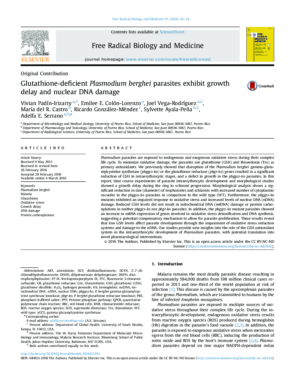 Glutathione-deficient Plasmodium berghei parasites exhibit growth delay and nuclear DNA damage