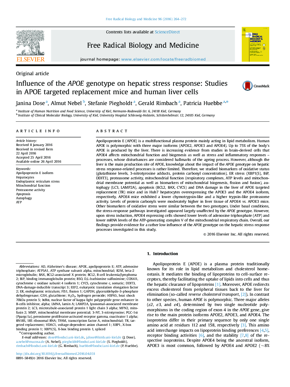 Influence of the APOE genotype on hepatic stress response: Studies in APOE targeted replacement mice and human liver cells