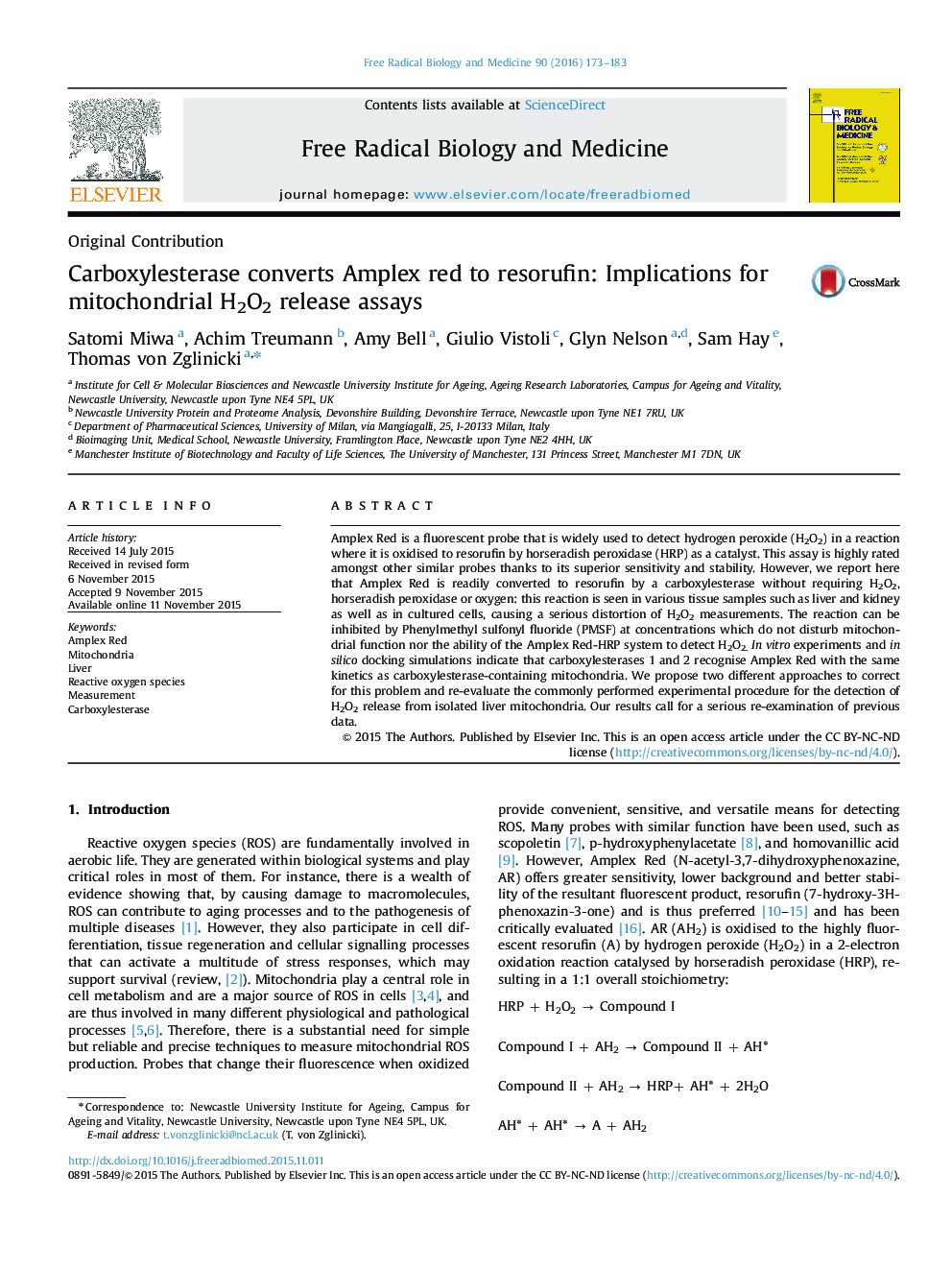 Carboxylesterase converts Amplex red to resorufin: Implications for mitochondrial H2O2 release assays