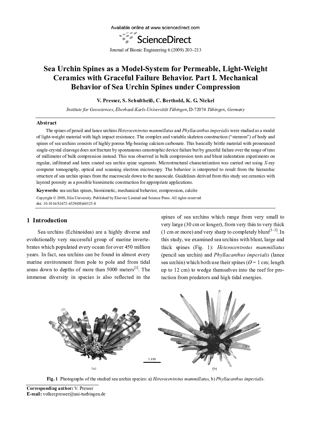 Sea Urchin Spines as a Model-System for Permeable, Light-Weight Ceramics with Graceful Failure Behavior. Part I. Mechanical Behavior of Sea Urchin Spines under Compression