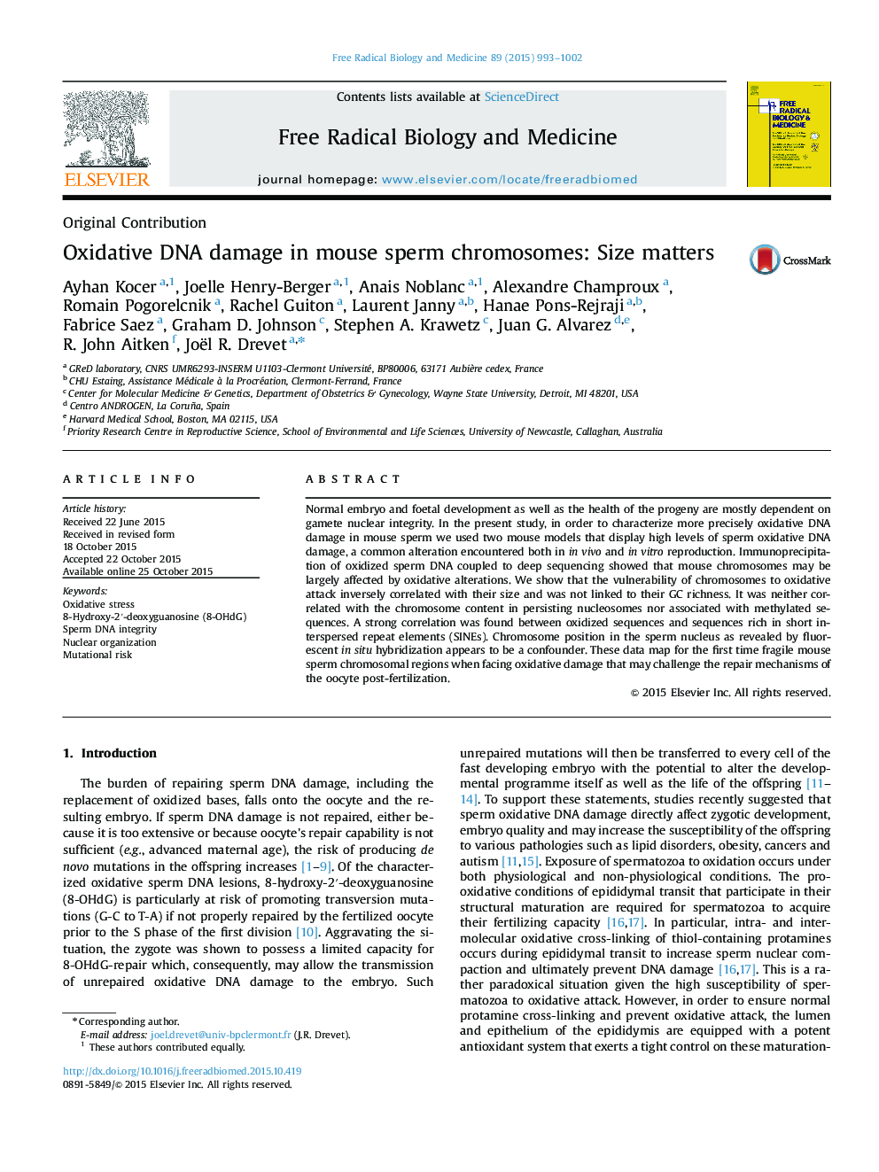 Oxidative DNA damage in mouse sperm chromosomes: Size matters