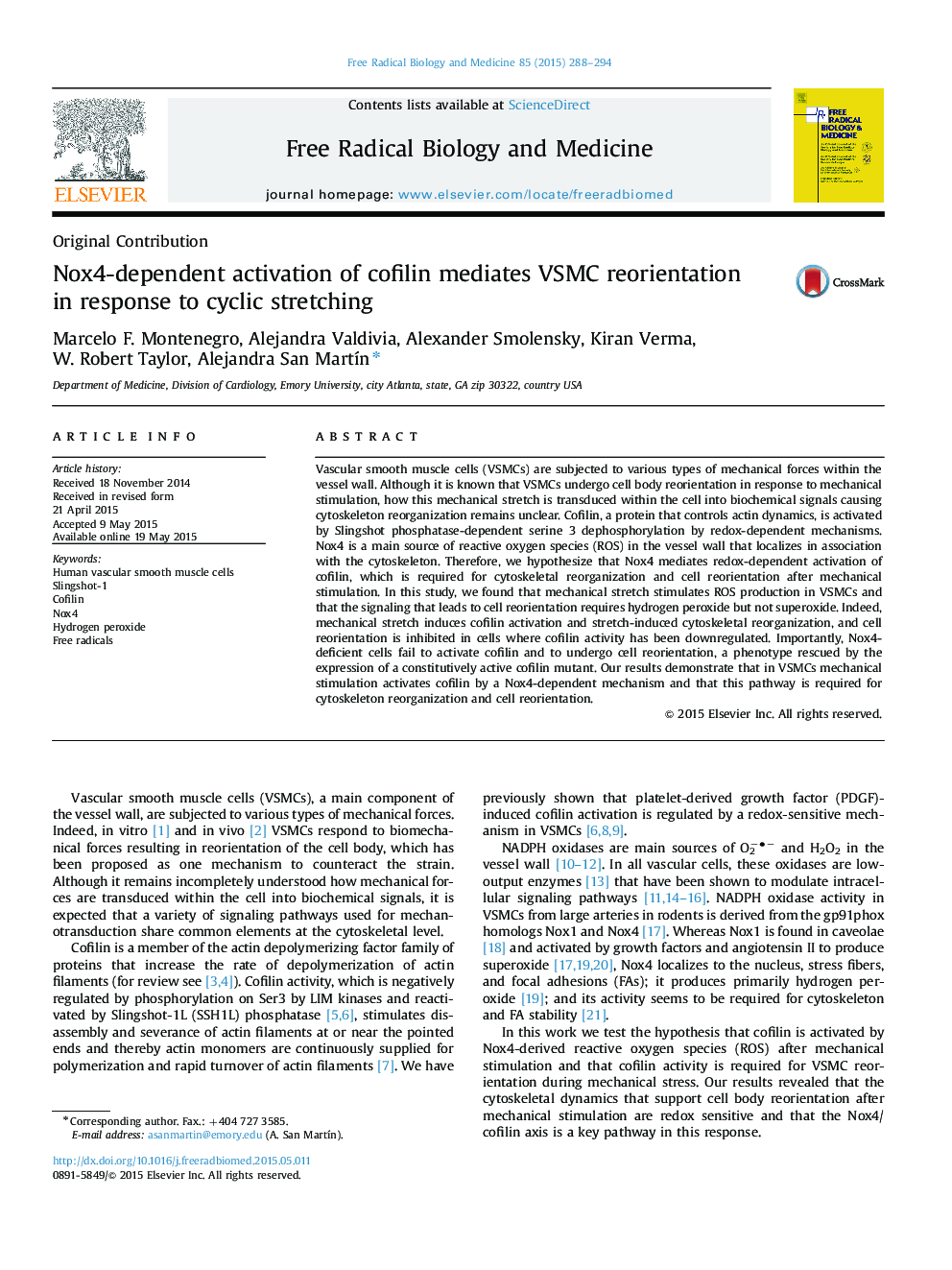 Nox4-dependent activation of cofilin mediates VSMC reorientation in response to cyclic stretching
