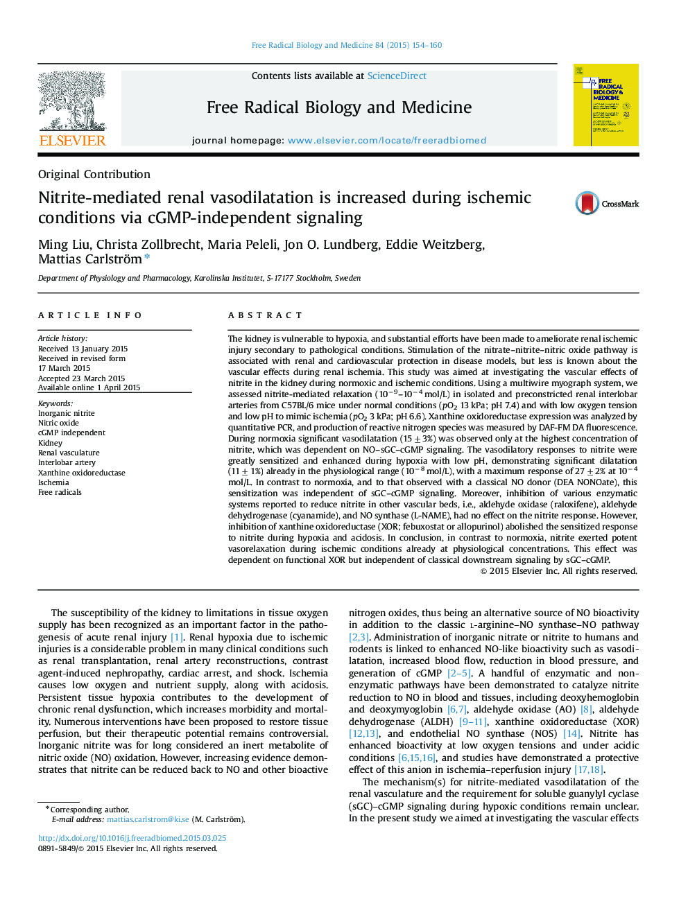 Nitrite-mediated renal vasodilatation is increased during ischemic conditions via cGMP-independent signaling