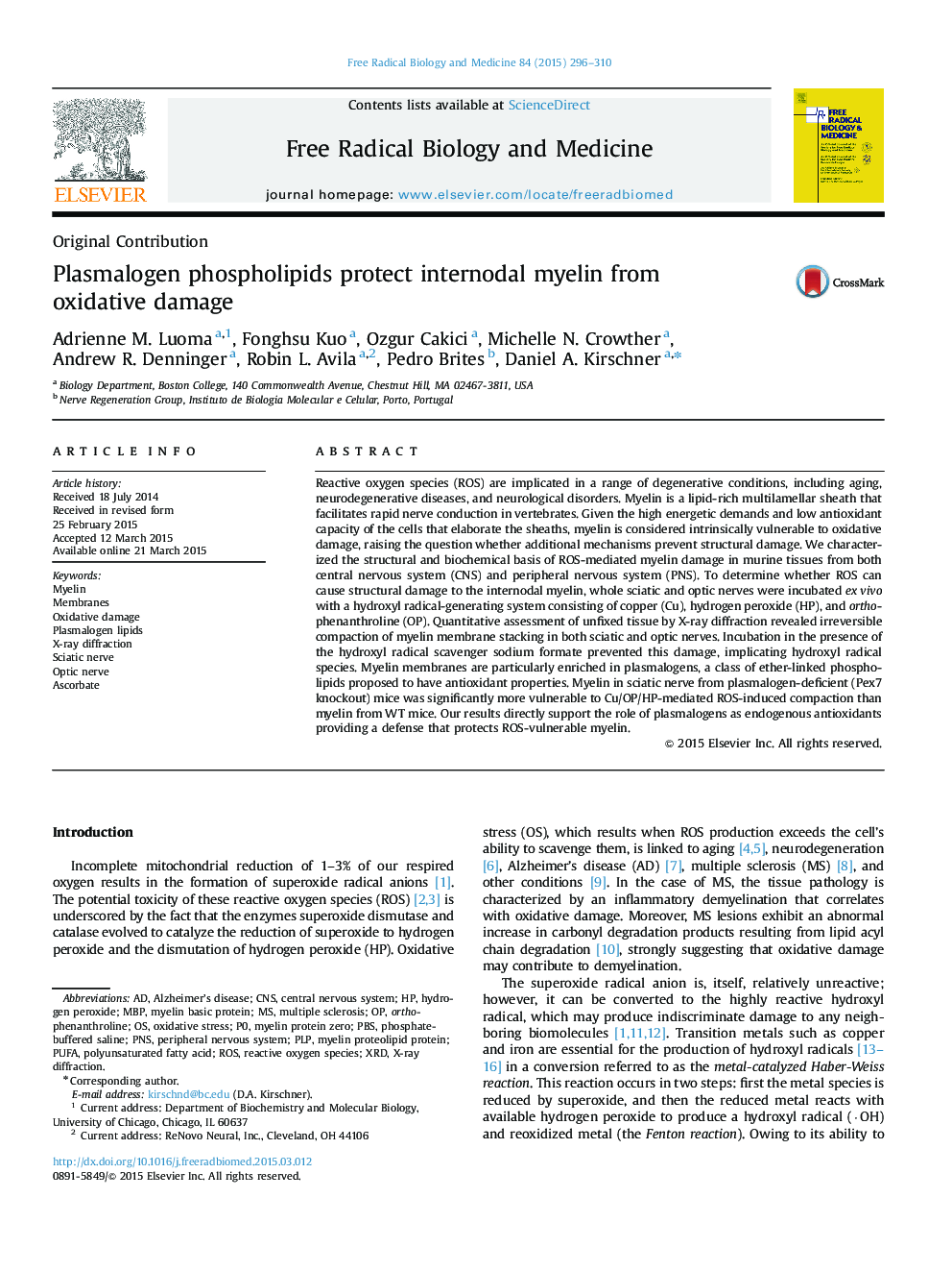 Plasmalogen phospholipids protect internodal myelin from oxidative damage