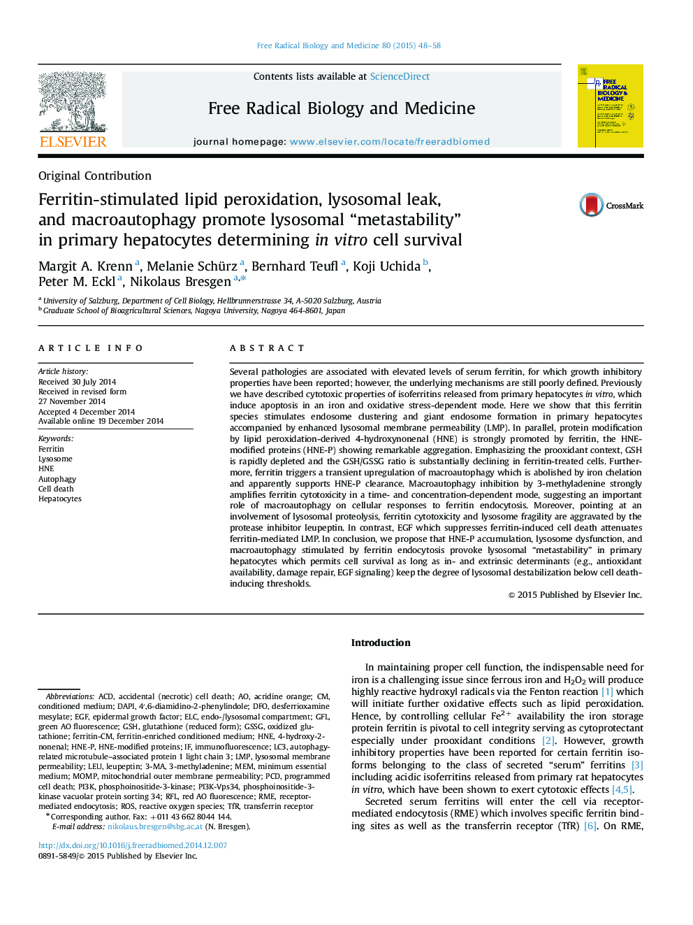 Ferritin-stimulated lipid peroxidation, lysosomal leak, and macroautophagy promote lysosomal “metastability” in primary hepatocytes determining in vitro cell survival
