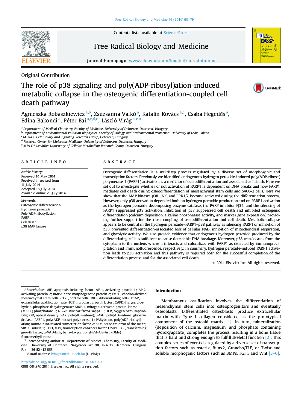 The role of p38 signaling and poly(ADP-ribosyl)ation-induced metabolic collapse in the osteogenic differentiation-coupled cell death pathway