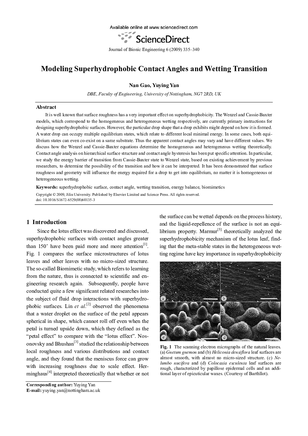 Modeling Superhydrophobic Contact Angles and Wetting Transition
