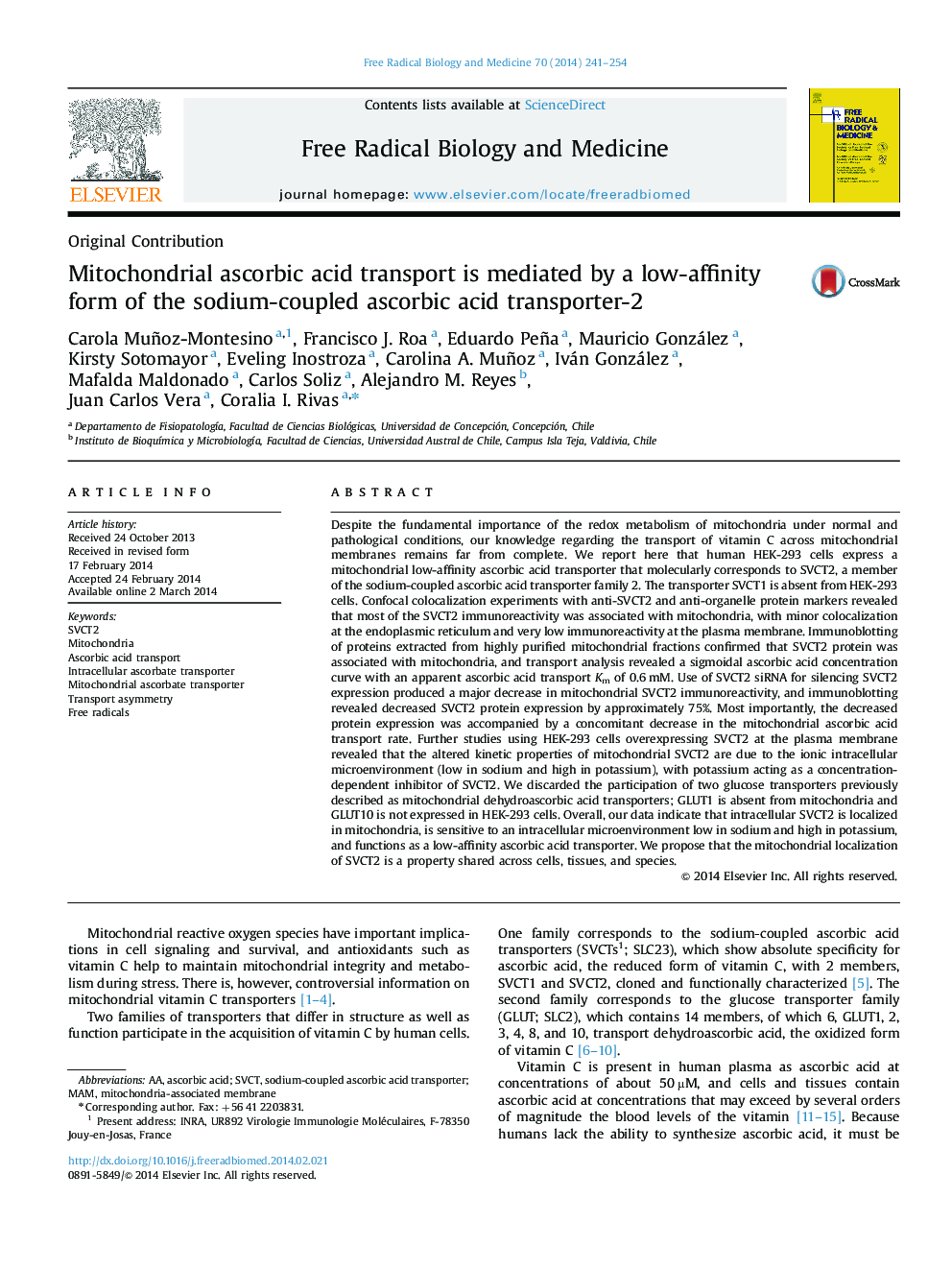 Mitochondrial ascorbic acid transport is mediated by a low-affinity form of the sodium-coupled ascorbic acid transporter-2