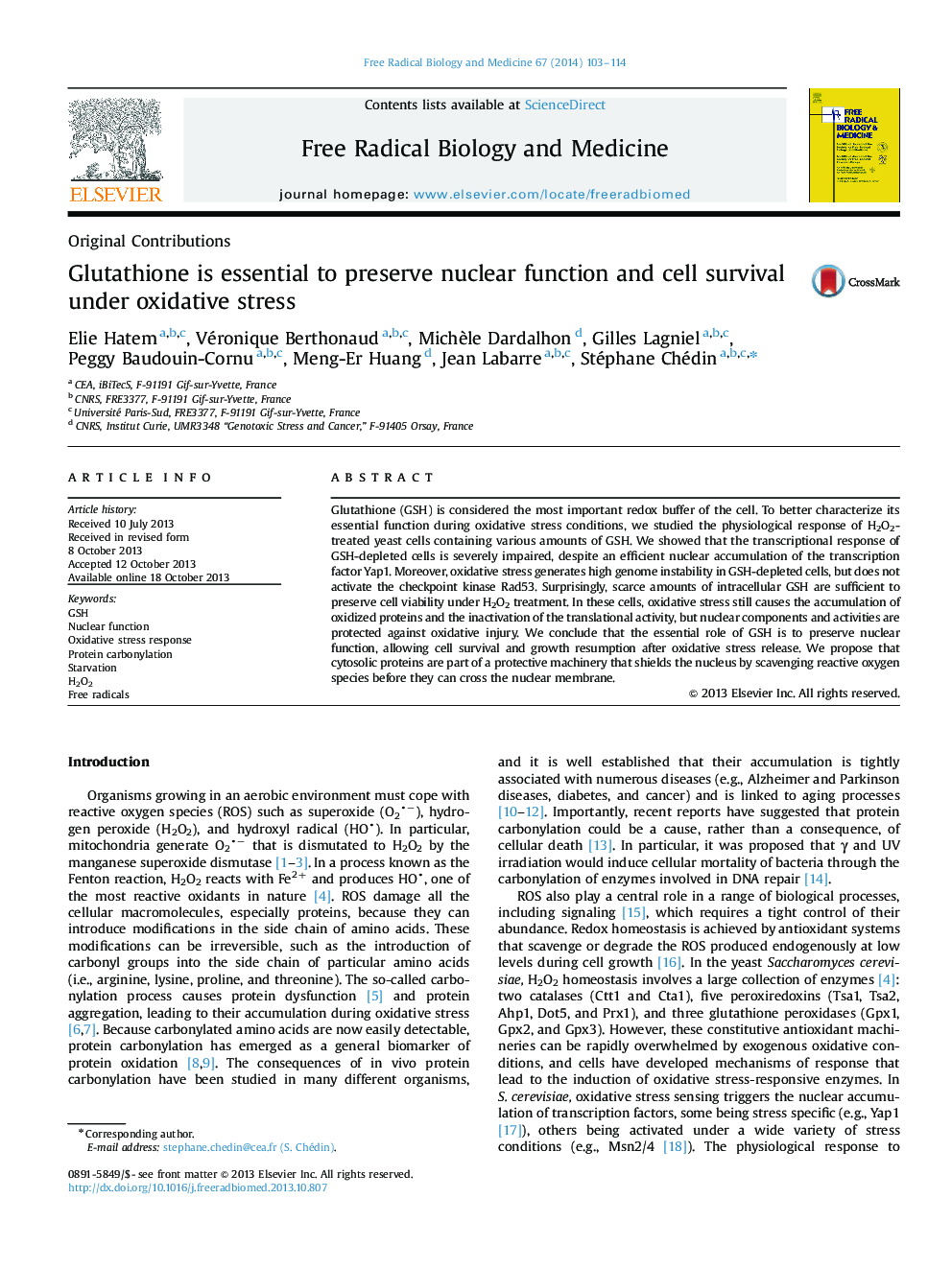 Glutathione is essential to preserve nuclear function and cell survival under oxidative stress