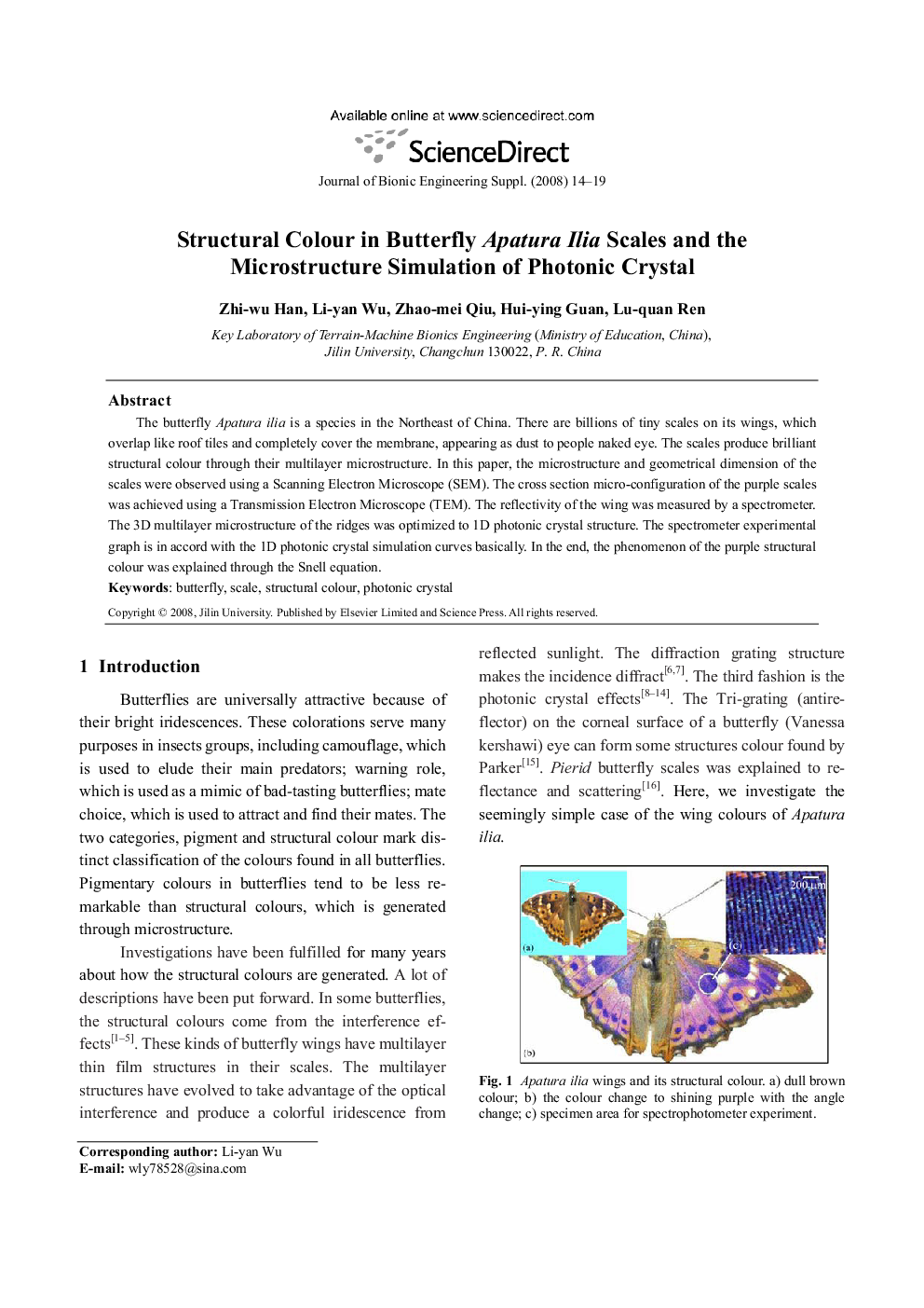 Structural Colour in Butterfly Apatura Ilia Scales and the Microstructure Simulation of Photonic Crystal