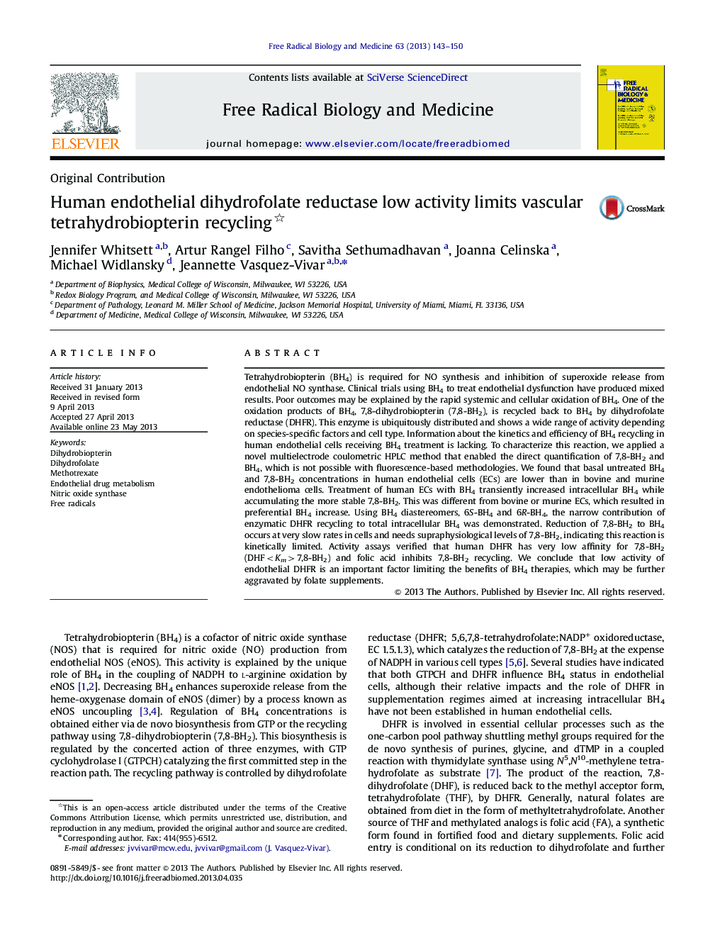 Human endothelial dihydrofolate reductase low activity limits vascular tetrahydrobiopterin recycling