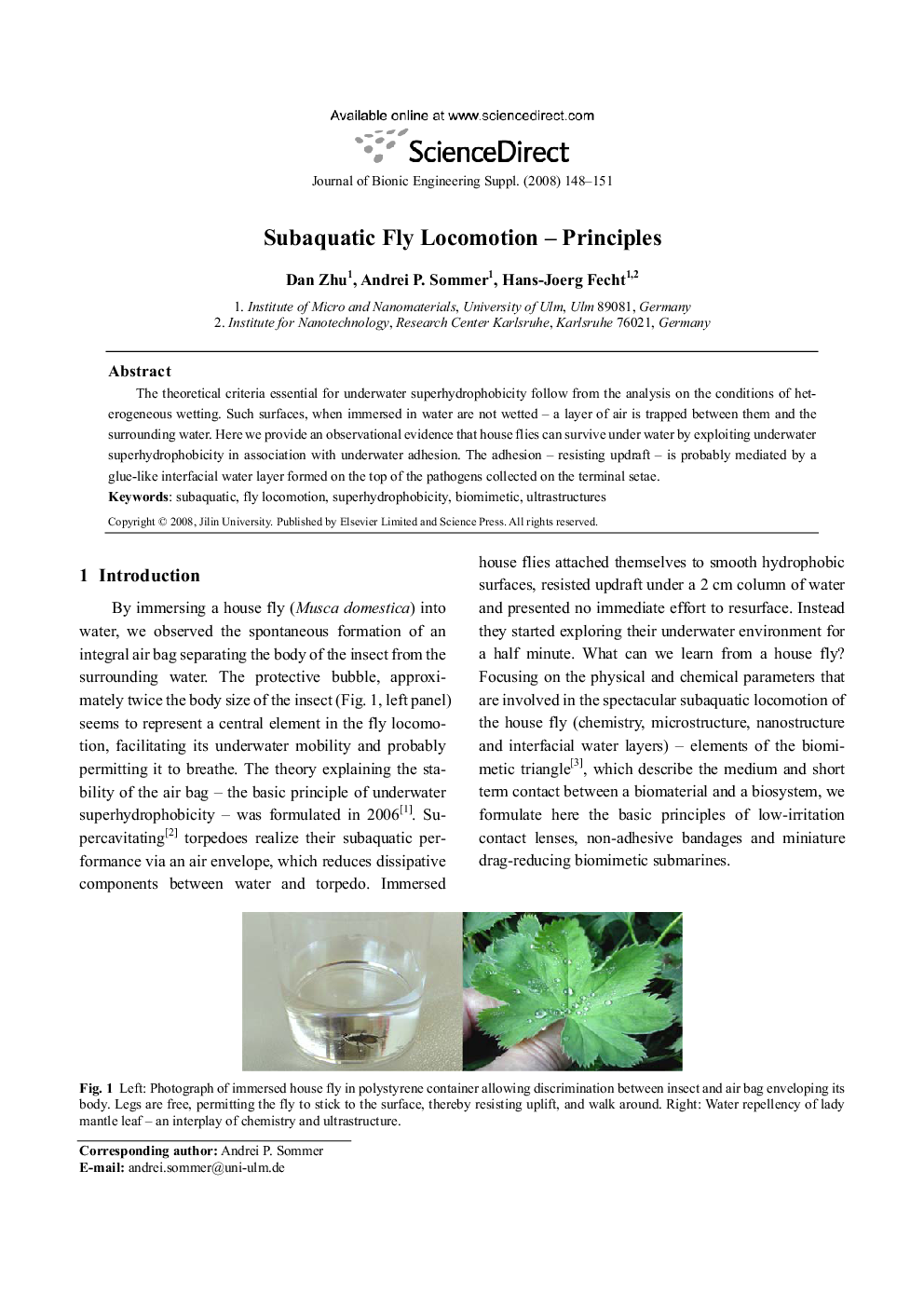 Subaquatic Fly Locomotion — Principles