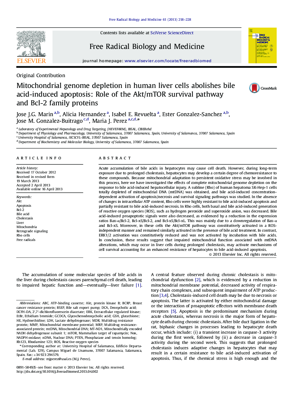 Mitochondrial genome depletion in human liver cells abolishes bile acid-induced apoptosis: Role of the Akt/mTOR survival pathway and Bcl-2 family proteins