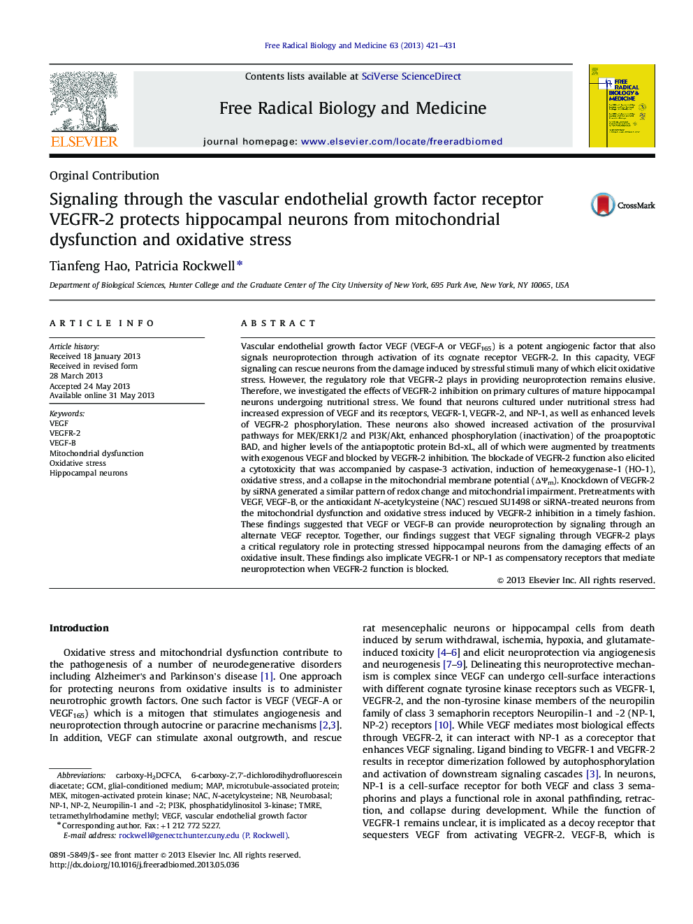 Signaling through the vascular endothelial growth factor receptor VEGFR-2 protects hippocampal neurons from mitochondrial dysfunction and oxidative stress