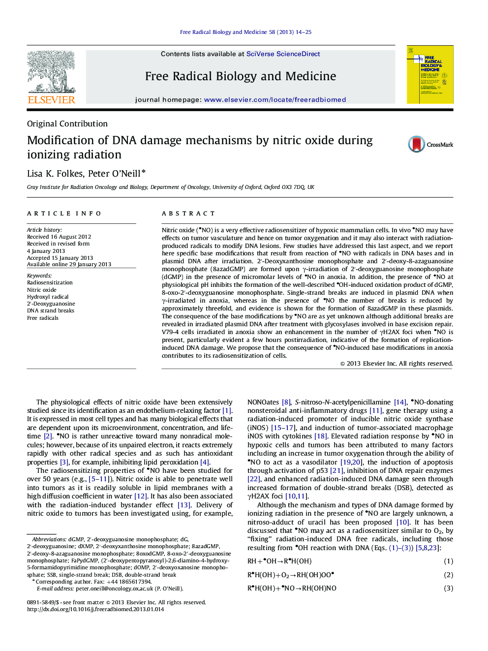 Modification of DNA damage mechanisms by nitric oxide during ionizing radiation