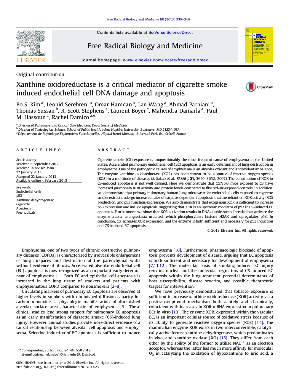 Xanthine oxidoreductase is a critical mediator of cigarette smoke-induced endothelial cell DNA damage and apoptosis