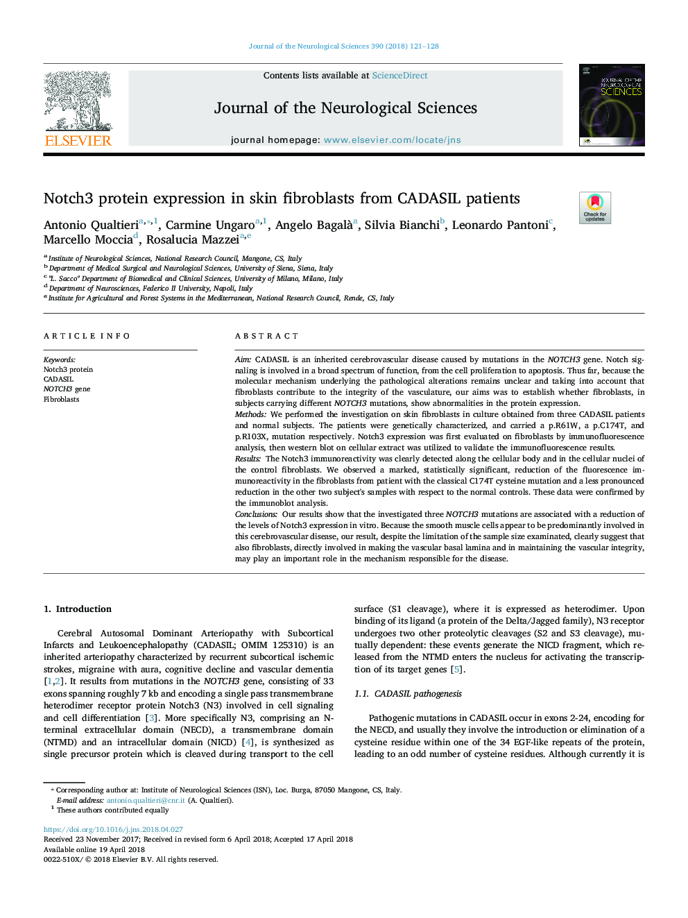 Notch3 protein expression in skin fibroblasts from CADASIL patients