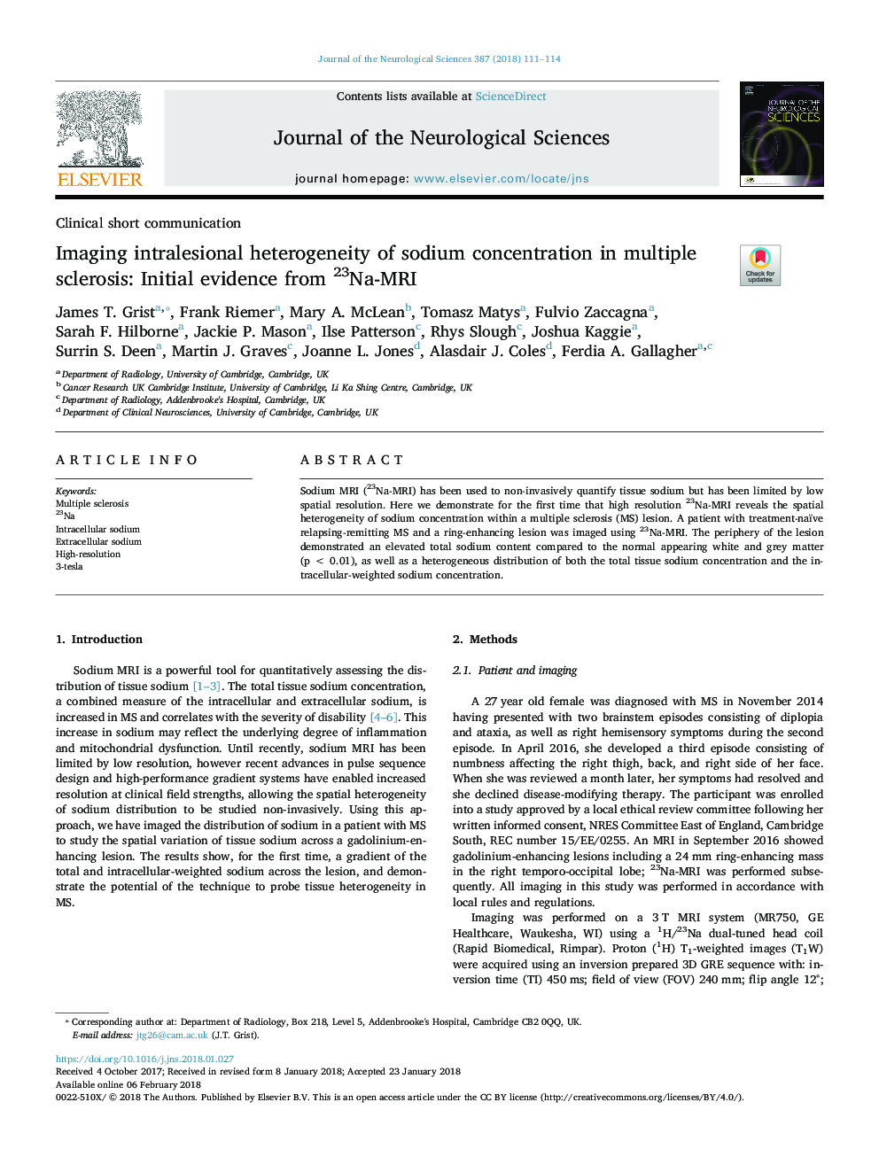 Imaging intralesional heterogeneity of sodium concentration in multiple sclerosis: Initial evidence from 23Na-MRI