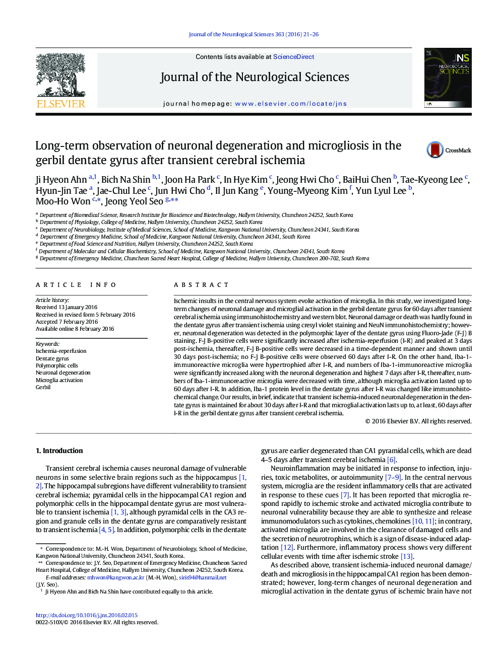 Long-term observation of neuronal degeneration and microgliosis in the gerbil dentate gyrus after transient cerebral ischemia