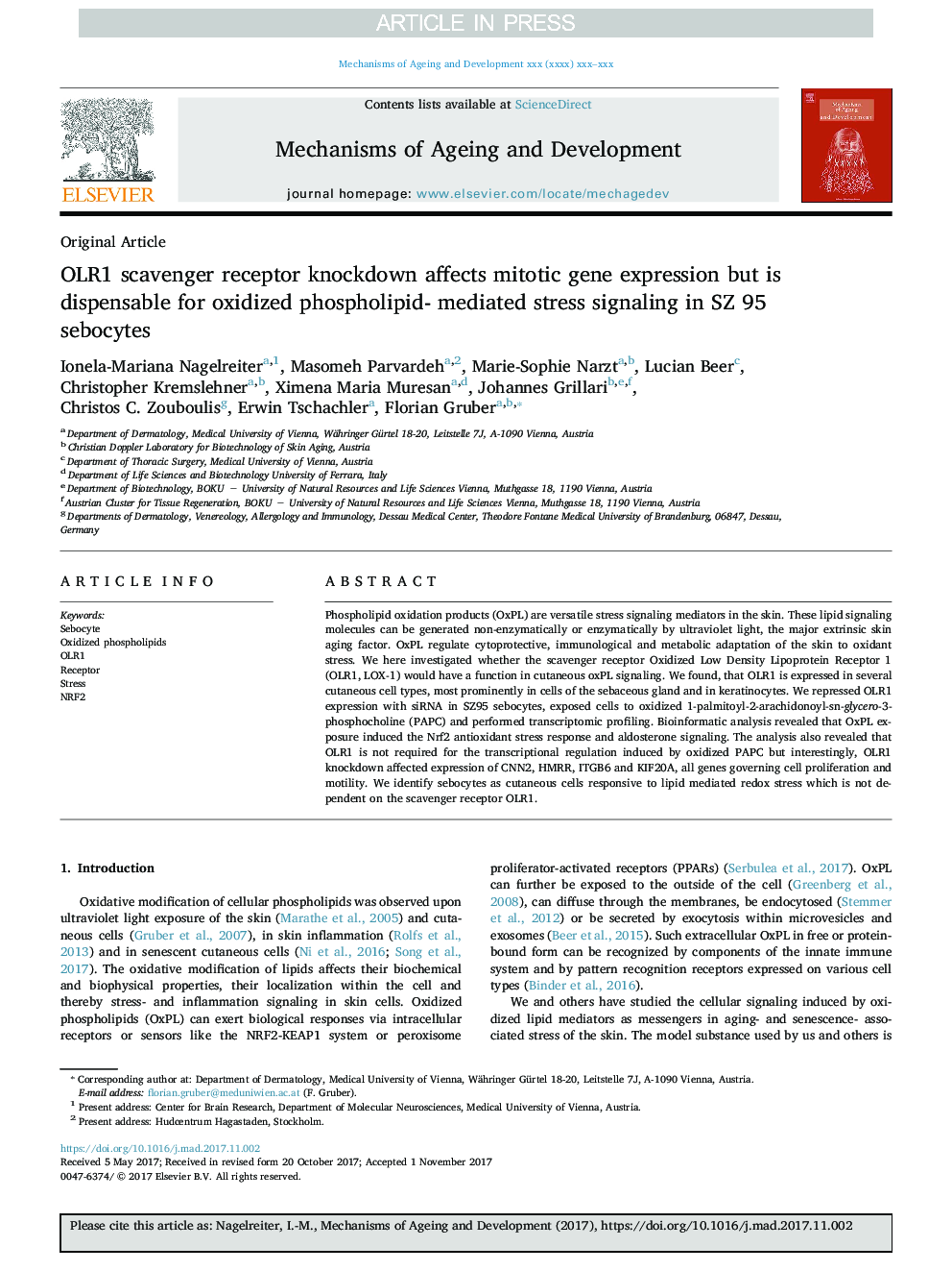 OLR1 scavenger receptor knockdown affects mitotic gene expression but is dispensable for oxidized phospholipid- mediated stress signaling in SZ 95 sebocytes