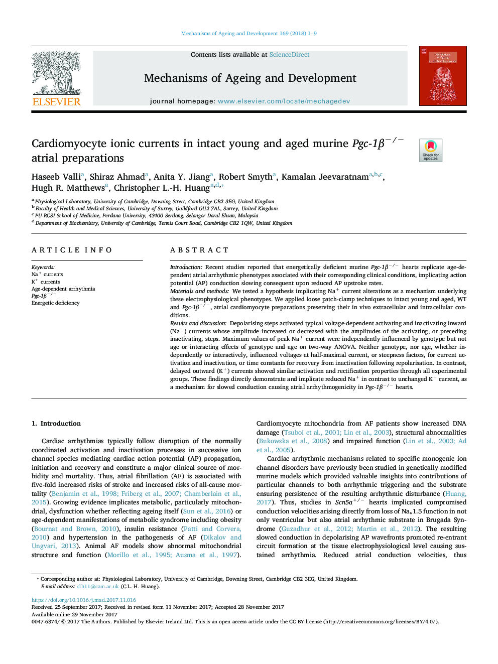 Cardiomyocyte ionic currents in intact young and aged murine Pgc-1Î²â/â atrial preparations