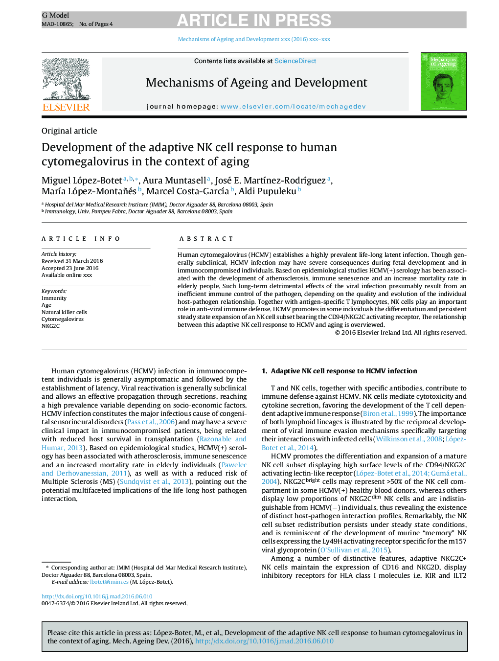 Development of the adaptive NK cell response to human cytomegalovirus in the context of aging