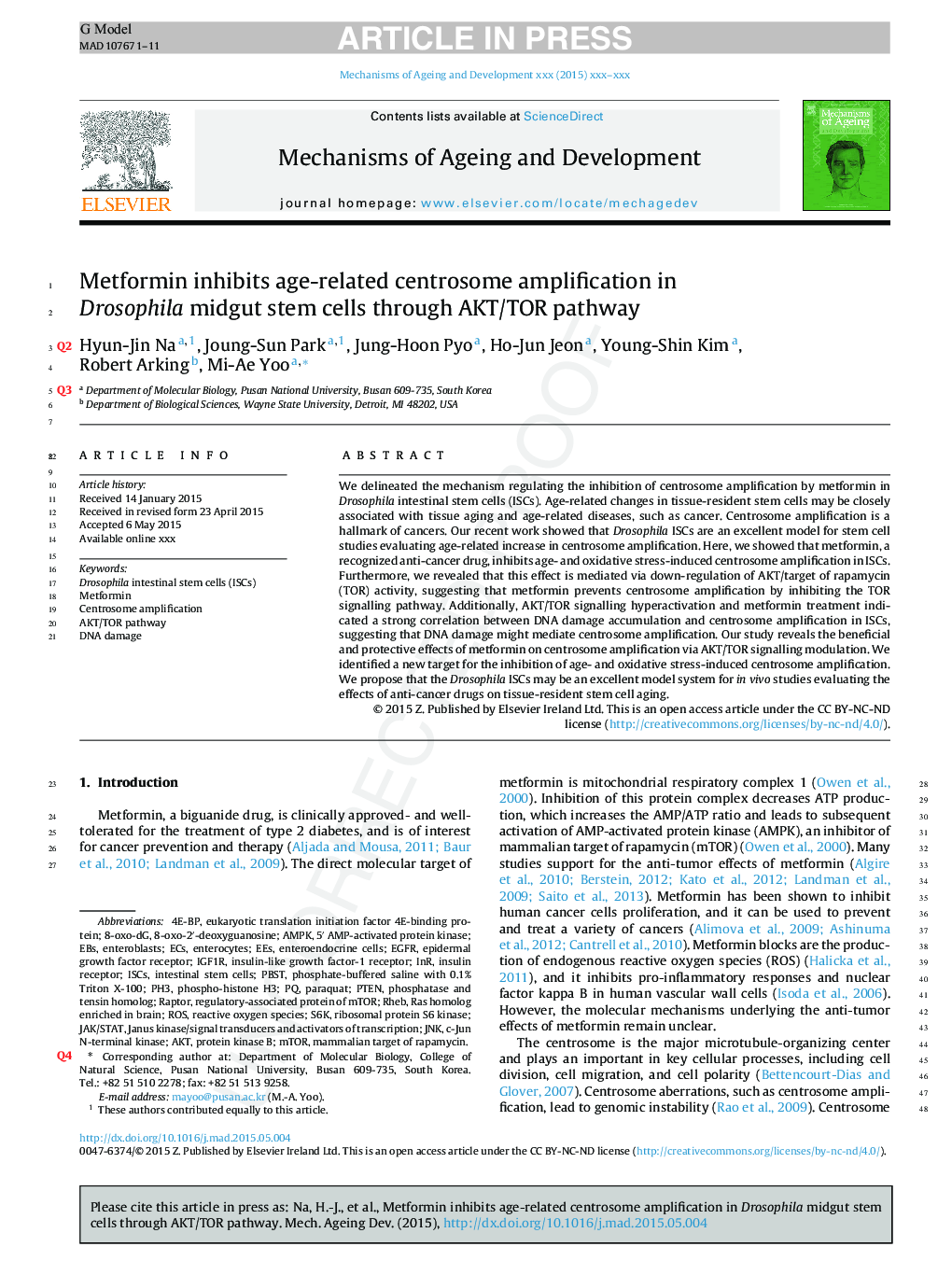 Metformin inhibits age-related centrosome amplification in Drosophila midgut stem cells through AKT/TOR pathway