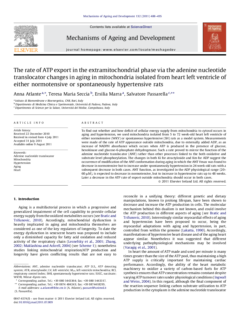 The rate of ATP export in the extramitochondrial phase via the adenine nucleotide translocator changes in aging in mitochondria isolated from heart left ventricle of either normotensive or spontaneously hypertensive rats