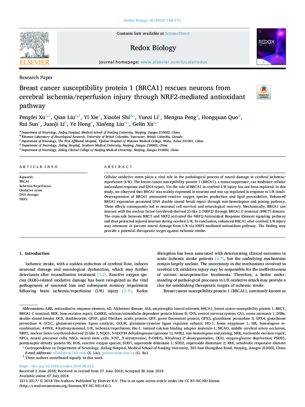 Breast cancer susceptibility protein 1 (BRCA1) rescues neurons from cerebral ischemia/reperfusion injury through NRF2-mediated antioxidant pathway