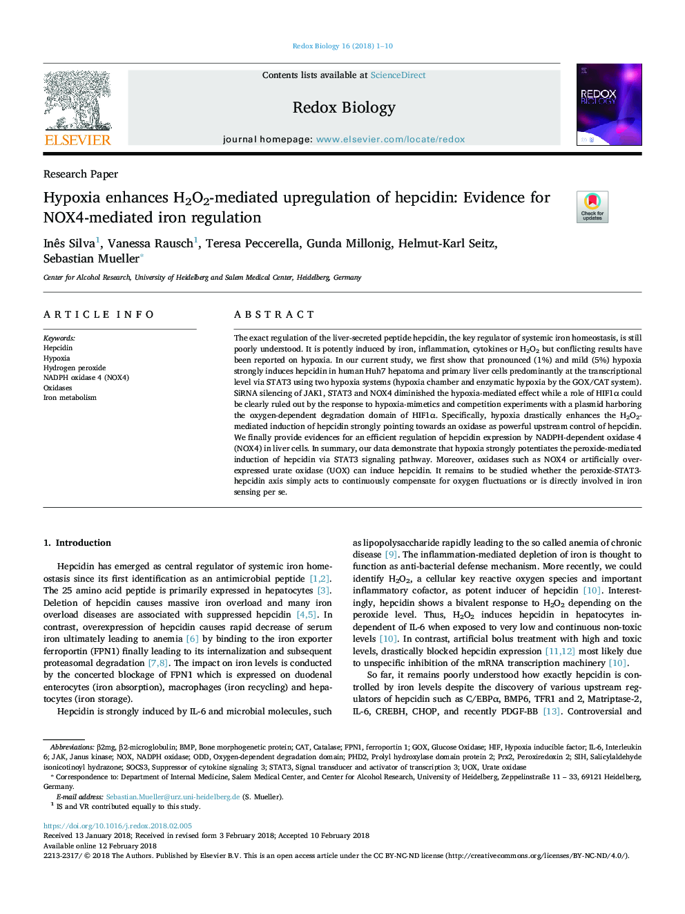 Hypoxia enhances H2O2-mediated upregulation of hepcidin: Evidence for NOX4-mediated iron regulation
